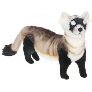 black footed ferret stuffed animal